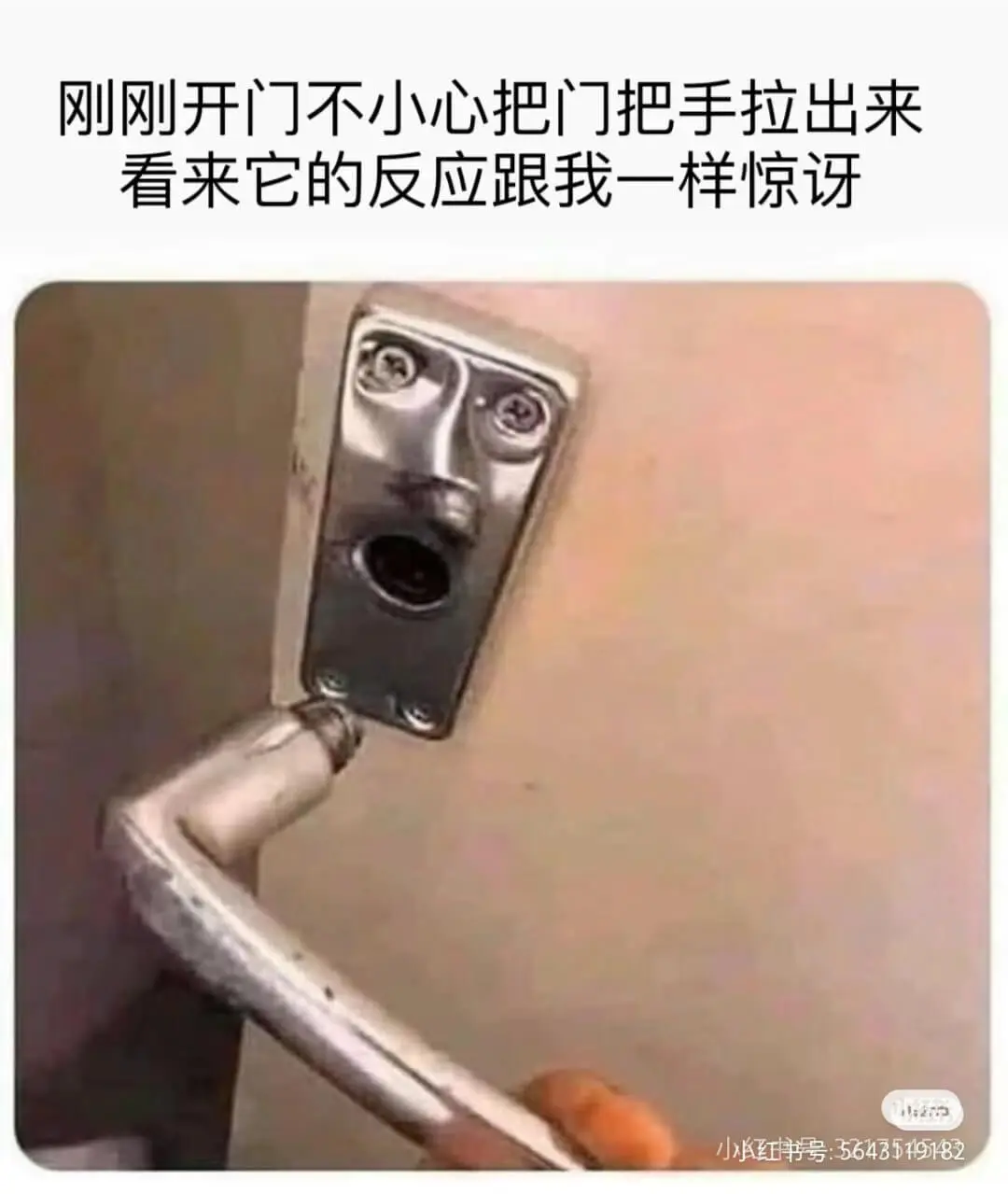 刚刚开门不小心把门把手拉出来看来它的反应跟我一样惊小红书号：