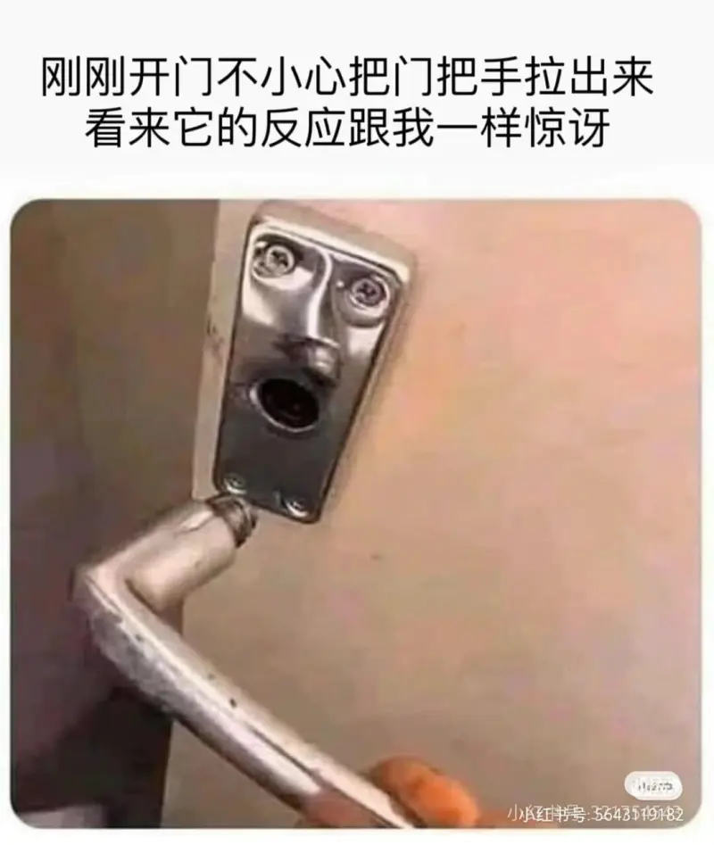 刚刚开门不小心把门把手拉出来看来它的反应跟我一样惊小红书号：