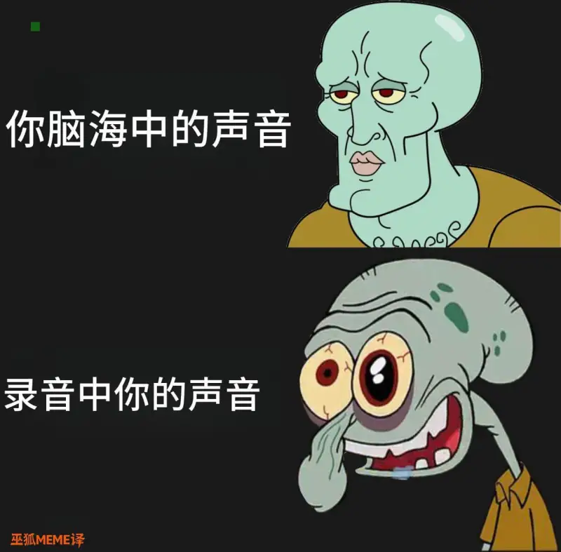 你脑海中的声音录音中你的声音巫狐MEME译