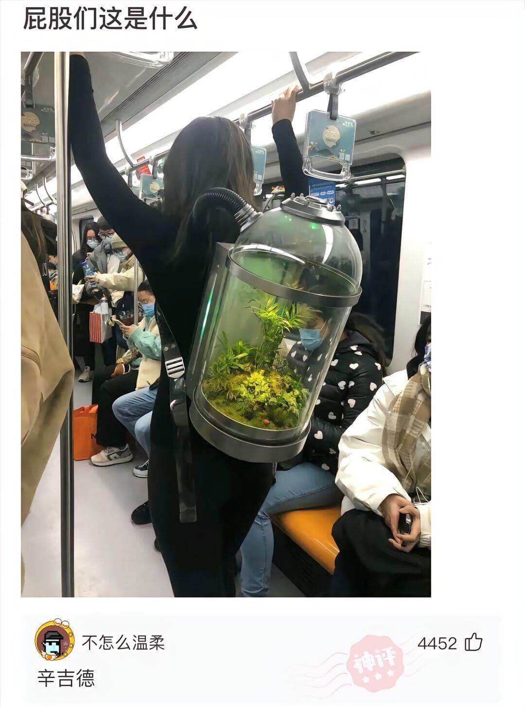 屁股们这是什么。不怎么温柔。445辛吉德。