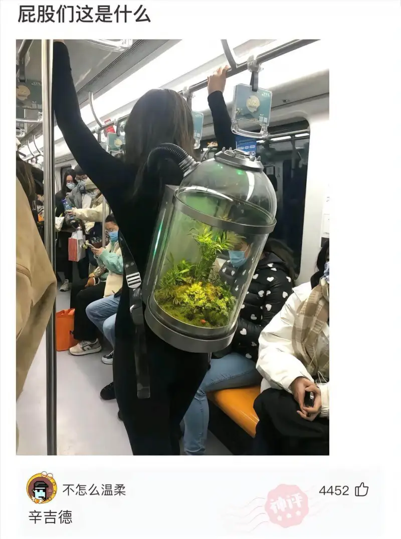 屁股们这是什么。不怎么温柔。445辛吉德。