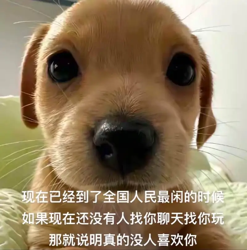 现在已经到了全国人民最闲的时候。如果现在还没有人找你聊天，找