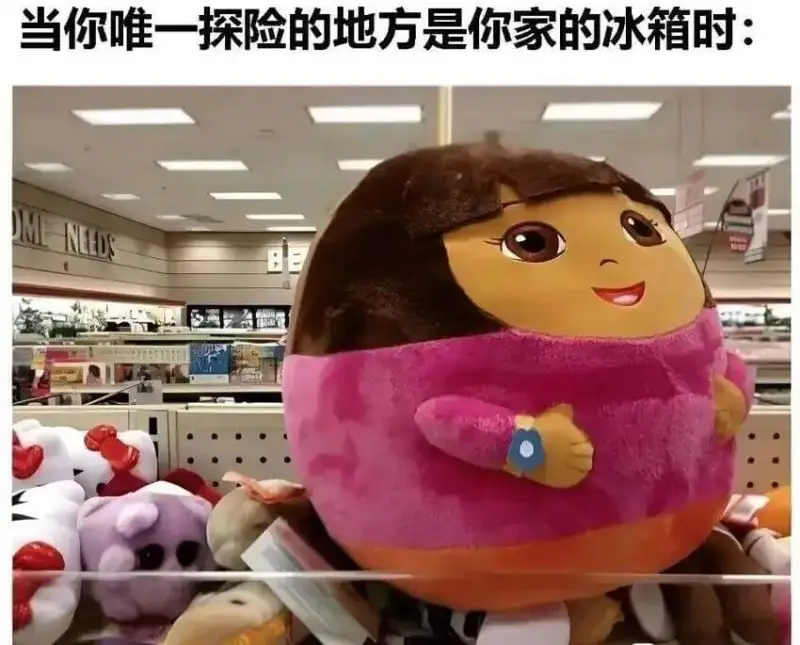 当你唯一探险的地方是你家的冰箱时：
