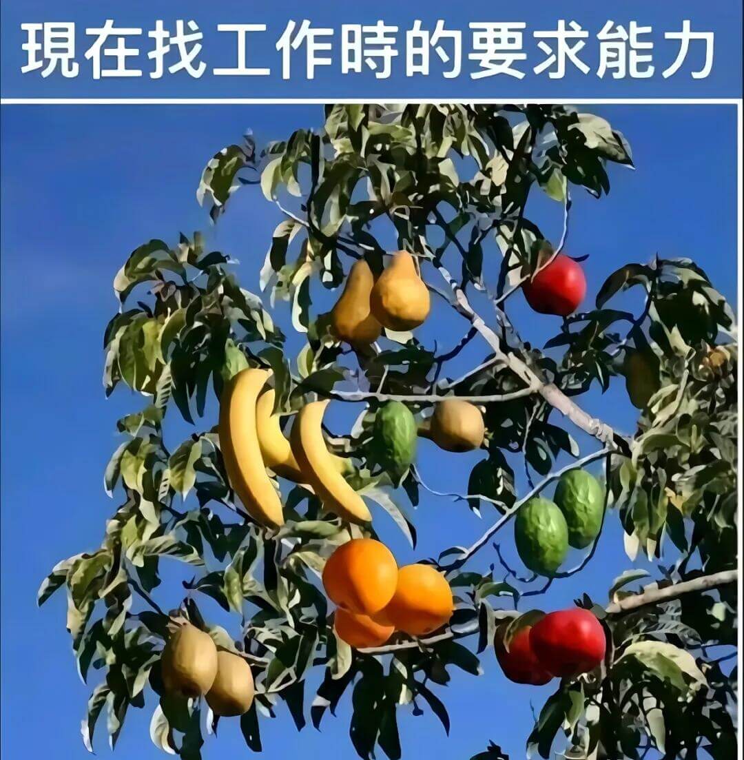 現在找工作时時的要求能力