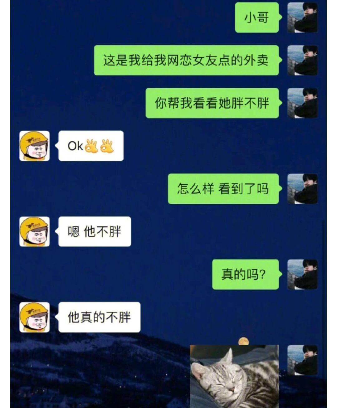 这是我给我网恋女友点的外卖。你帮我看看她胖不胖。Ok。怎么样