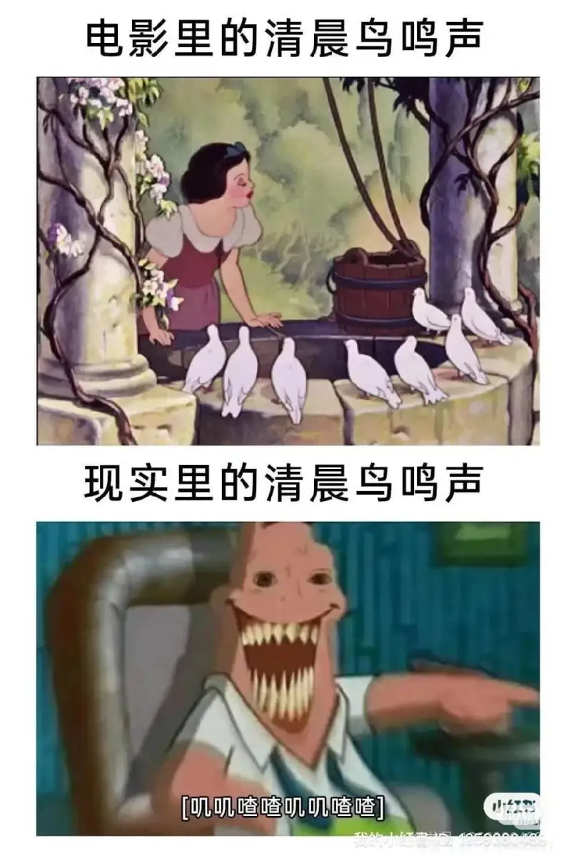 电影里的清晨鸟鸣声现实里的清晨鸟鸣声叭叽嗜嗜叭叭渣嗜]