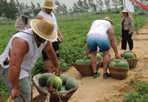 奶奶不语，只是一味看着虚弱的你。孙子：南村老奶笑我少无力。
