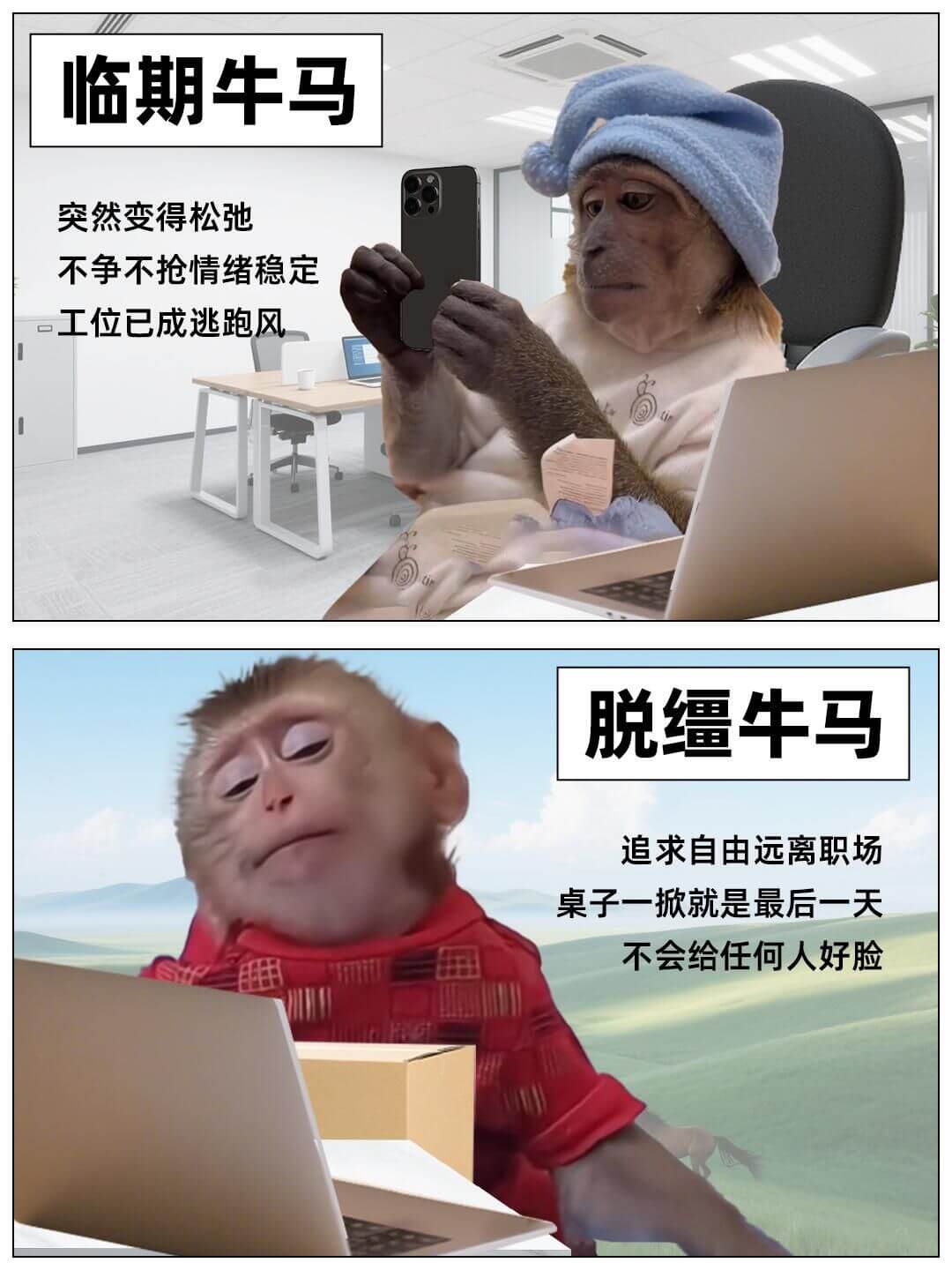 临期牛马突然变得松弛不争不抢情绪稳定工位已成逃跑风脱缰牛马追
