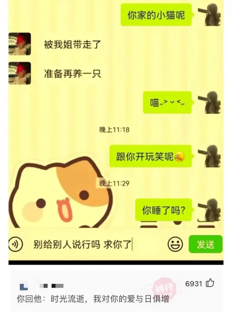 你家的小猫呢被我姐带走了准备再养一只喵...晚上11:18跟