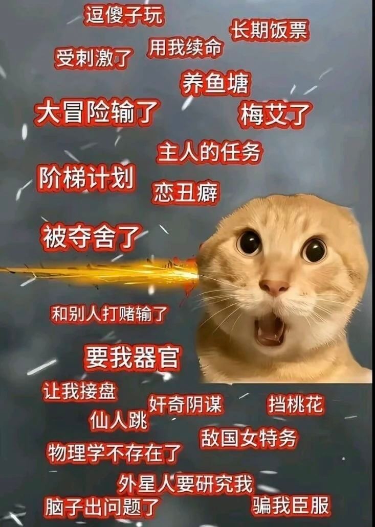 被表白我就这么想