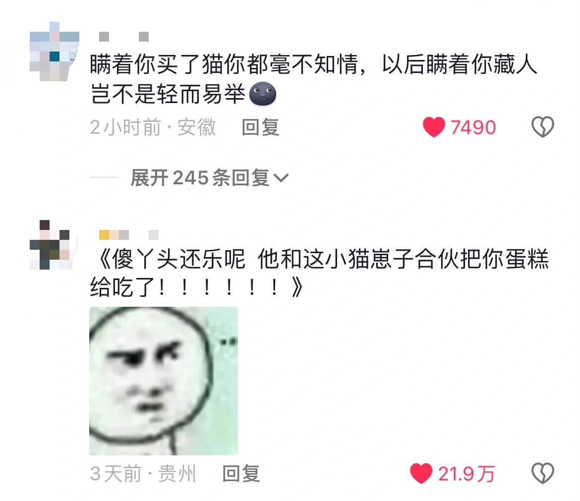 瞒着你买了猫你都毫不知情,以后瞒着你藏人岂不是轻而易举2小时