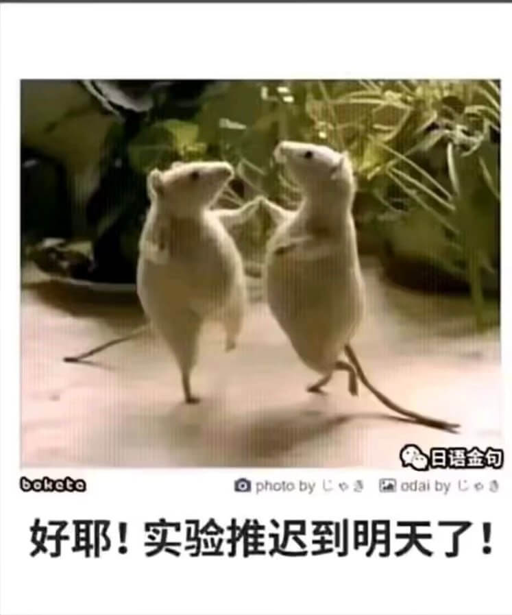 日语金句bohetoopholobyLeaodaibyCe好