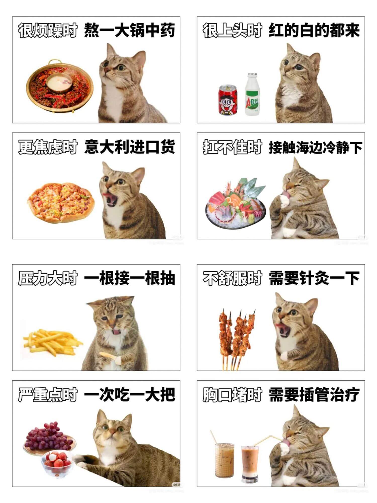 很烦躁时熬一大锅中药很上头时红的白的都来更焦虑时意大利进口货