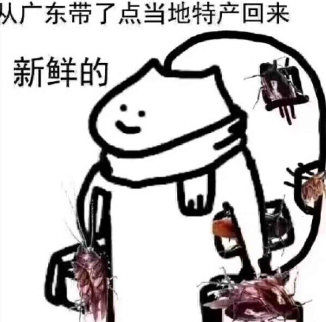 人广东带了点当地特产回来新鲜的