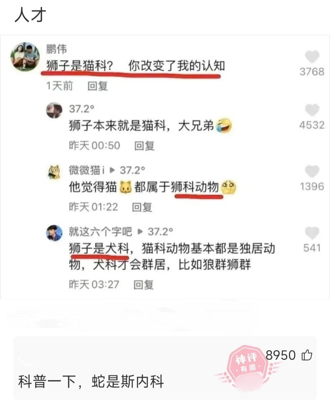 人才鹏伟你改变了我的认知：狮子是猫科？37681天前回复37
