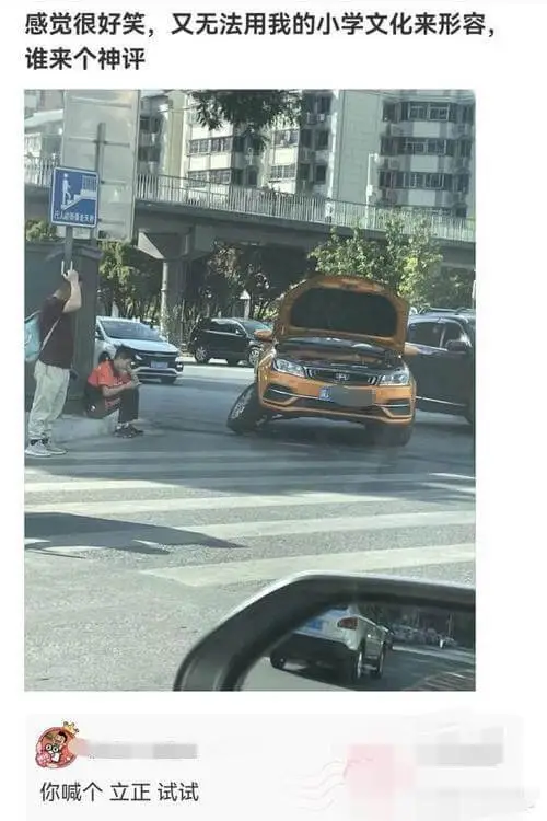 感觉很好笑，又无法用我的小学文化来形容，谁来个神评：你喊个立
