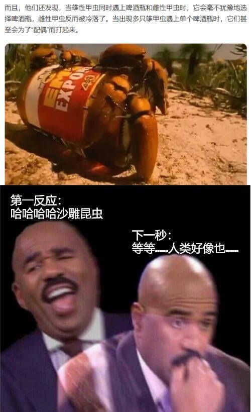 而且，他们还发现，当雄性甲虫同时遇上啤酒瓶和雌性甲虫时，它会