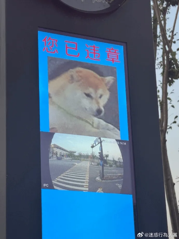 您已违章5:14:14IPC@迷惑行为大堂