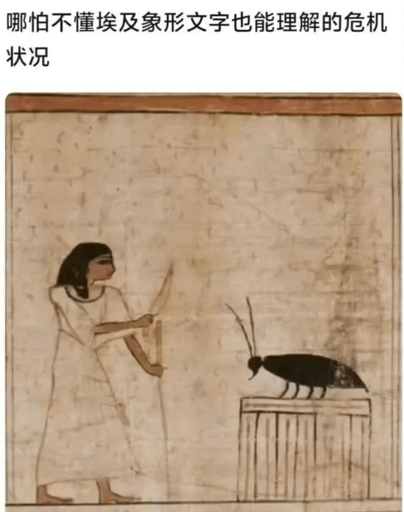 哪怕不懂埃及象形文字也能理解的危机状况