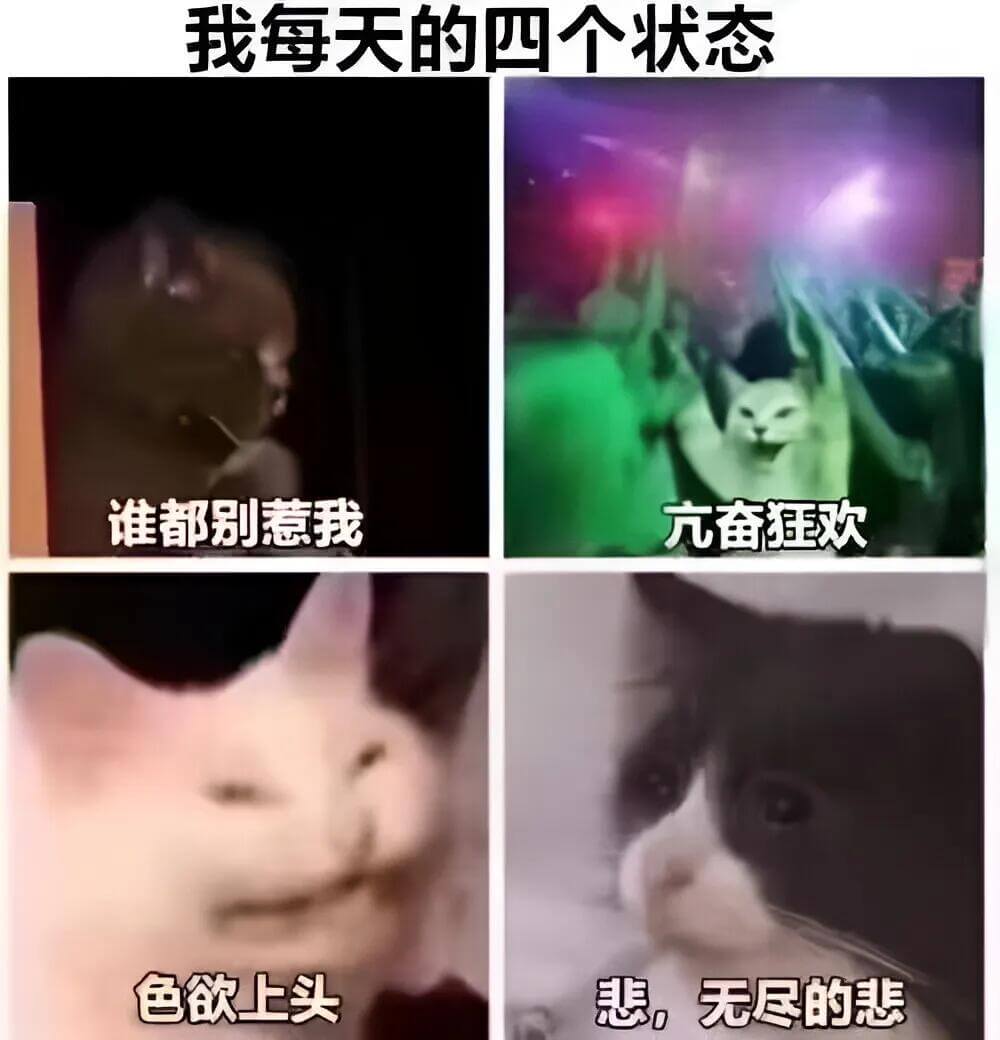我每天的四个状态：谁都别惹我亢奋狂欢色欲上头悲，无尽的悲