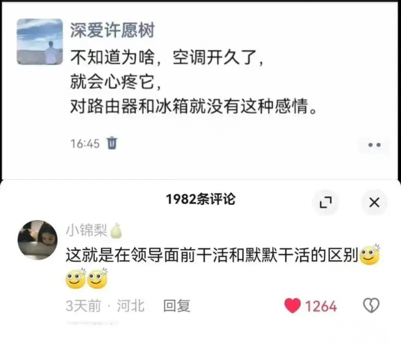 深爱许愿树不知道为啥，空调开久了就会心疼它，对路由器和冰箱就
