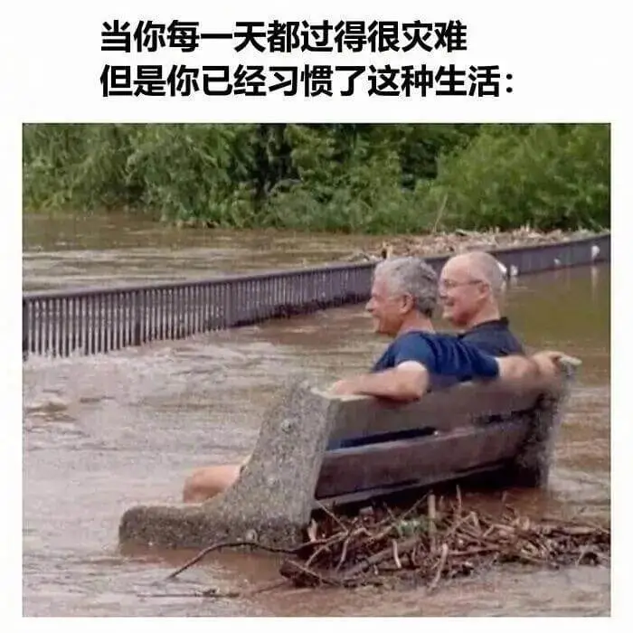 当你每一天都过得很灾难，但是你已经习惯了这种生活。