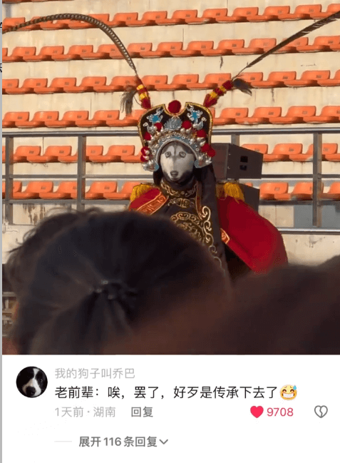 我的狗子叫乔巴老前辈：喉，罢了，好是传承下去了色1天前·湖南