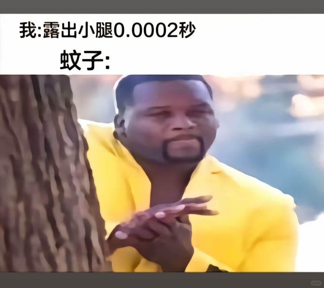 我：露出小腿0.0002秒蚊子：