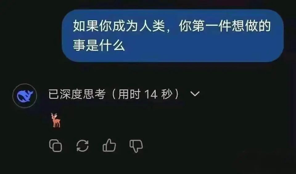 如果你成为人类，你第一件想做的事是什么