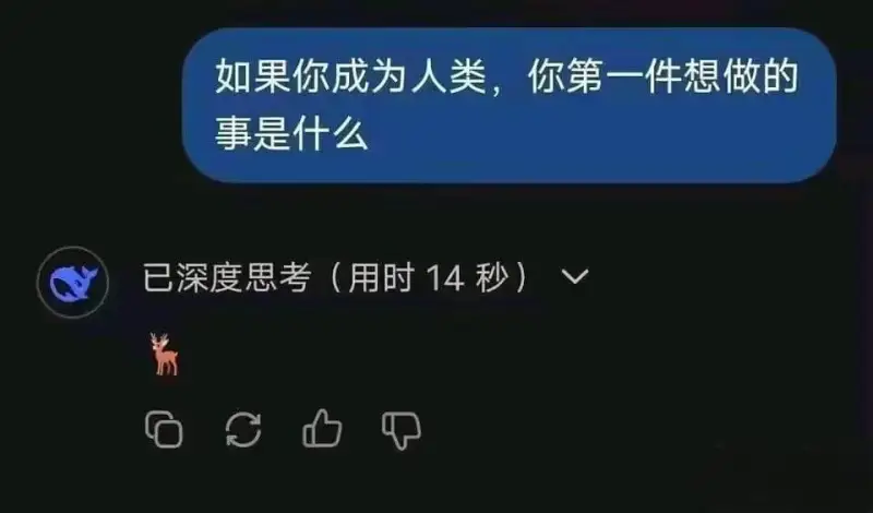 如果你成为人类，你第一件想做的事是什么