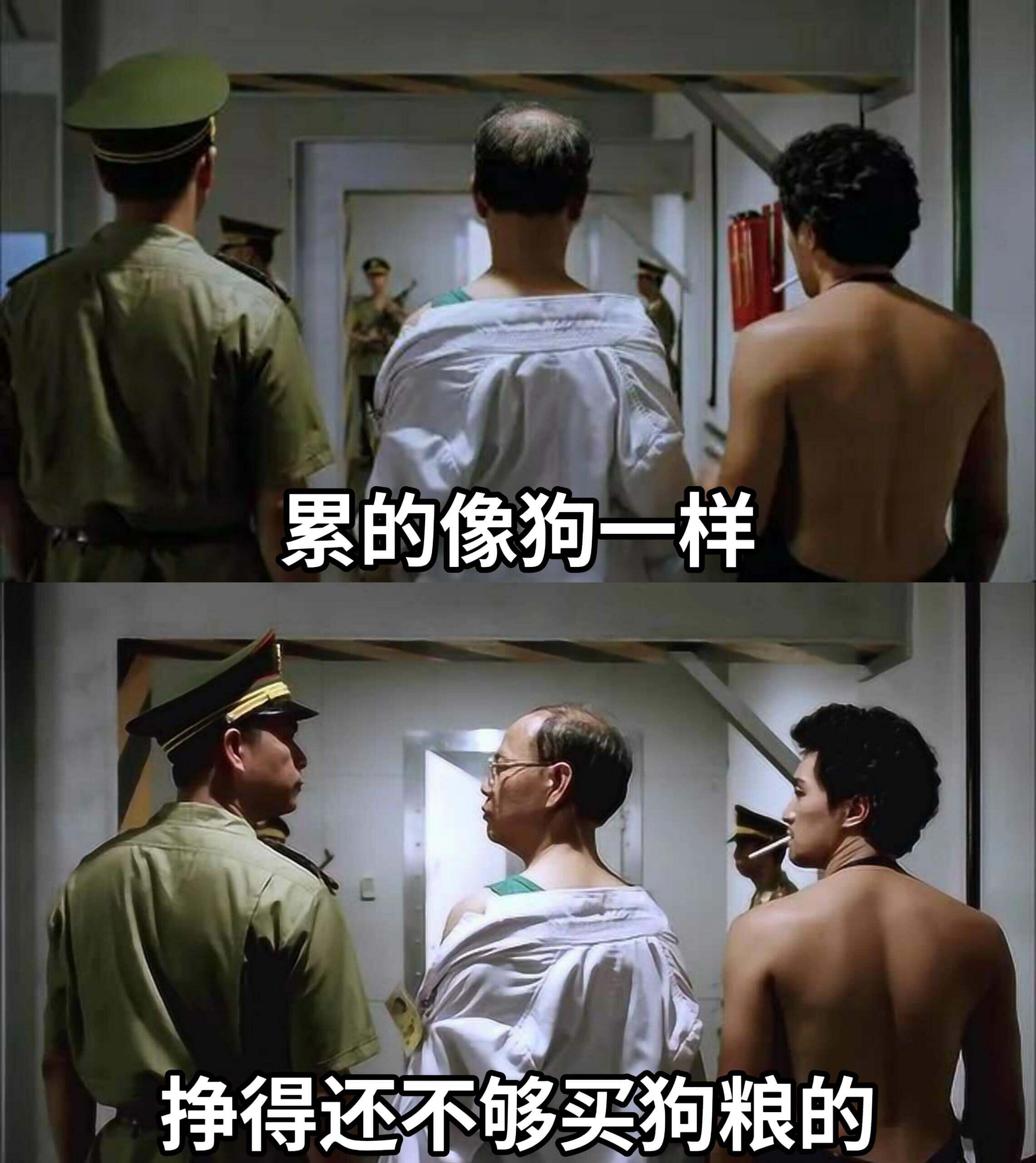 累的像狗一样挣得还不够买狗粮的
