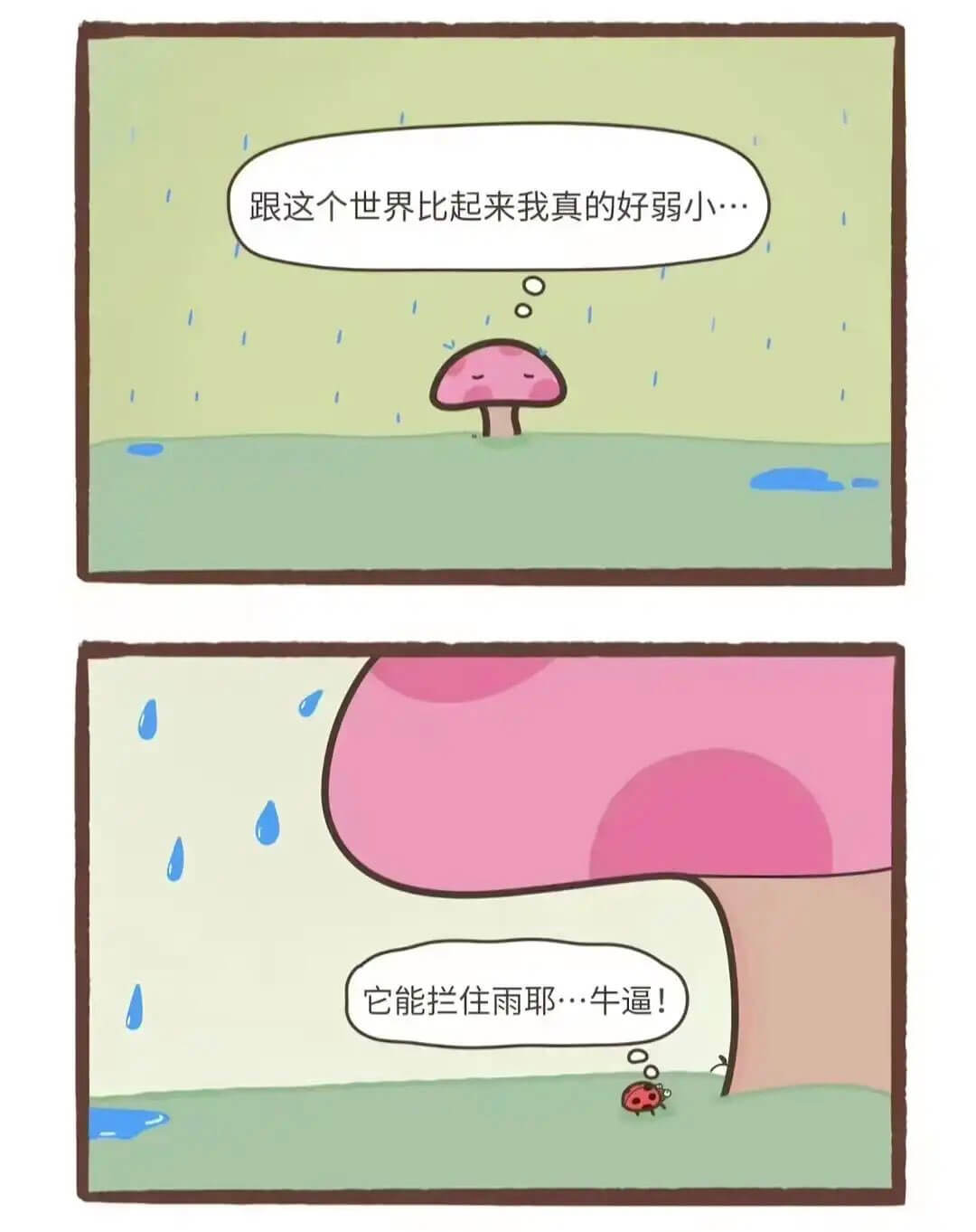 跟这个世界比起来，我真的好弱小。它能拦住雨耶，牛逼！