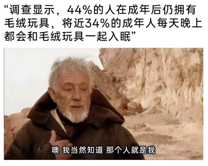 “调查显示，44%的人在成年后仍拥有毛绒玩具，将近34%的成