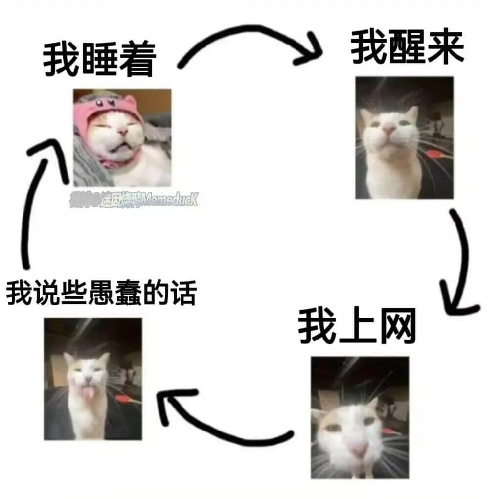 我醒来我睡着Q迷区烧鸭MamedhrdK我说些愚蠢的话我上网