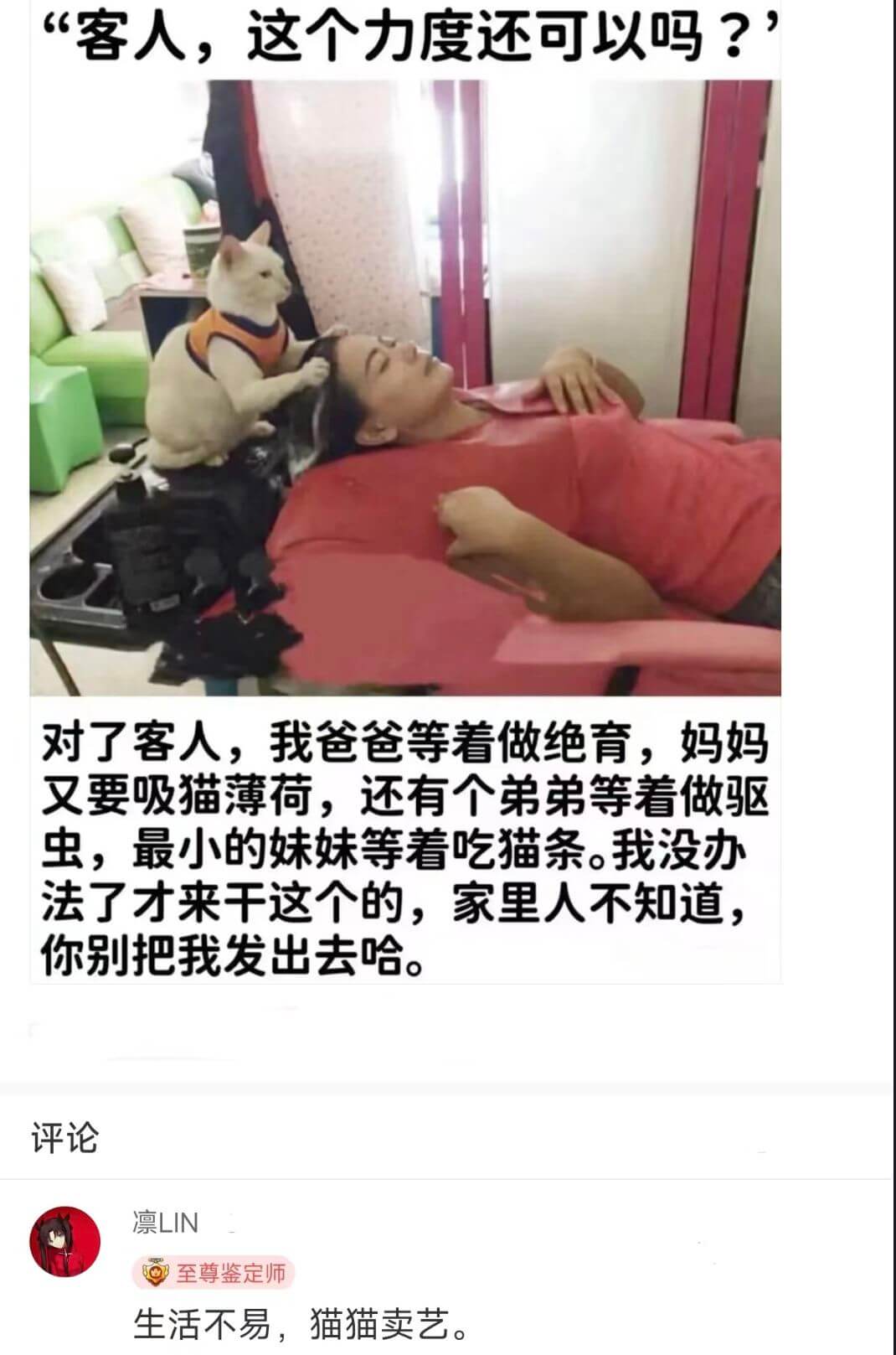 客人，这个力度还可以吗？评论凛LIN至尊鉴定师生活不易，猫猫