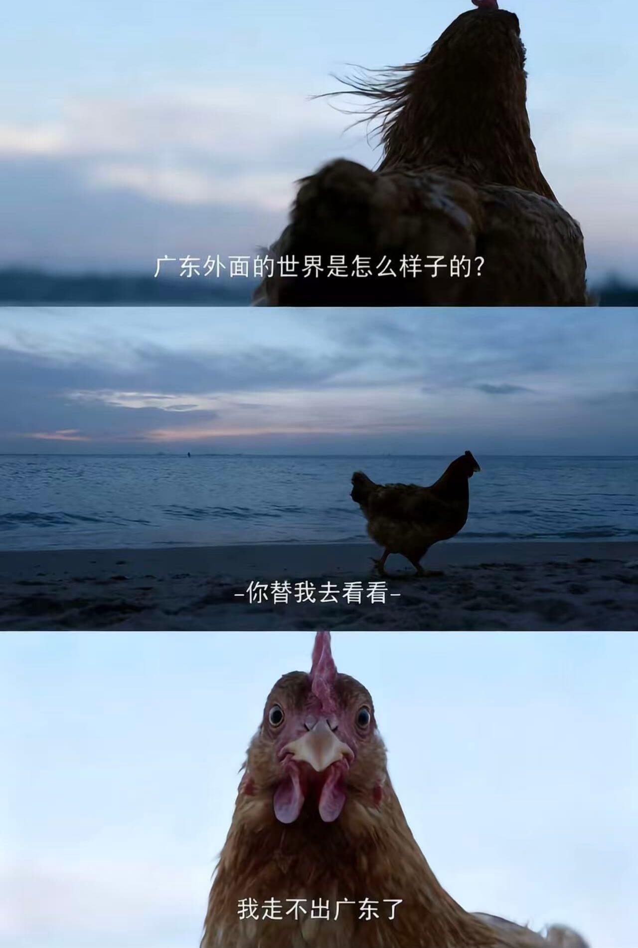 广东外面的世界是怎么样子的？你替我去看看，我走不出广东了。