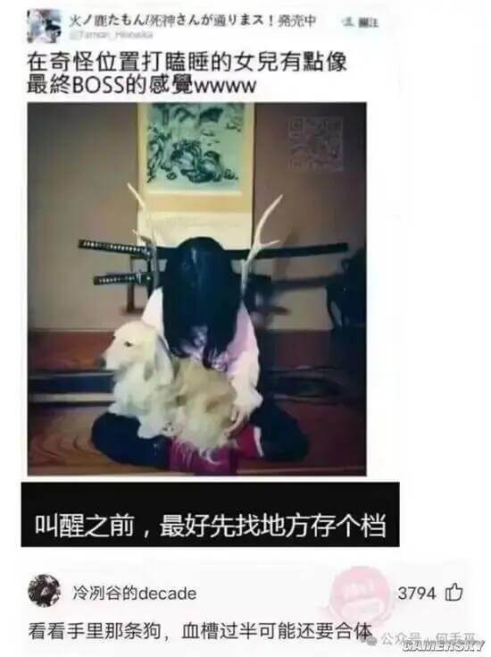 火/能龙毛人神主人力通人！勇光中在奇怪位置打瞌睡的女兒有黏像