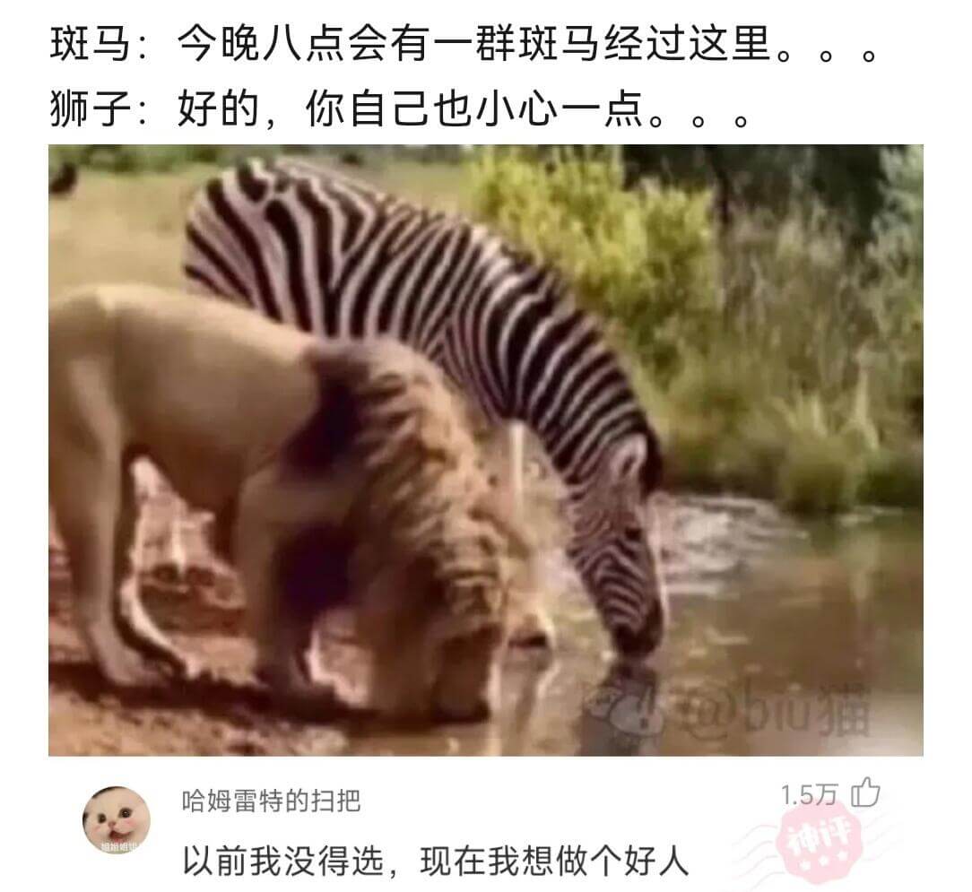 斑马:今晚八点会有一群斑马经过这里。狮子:好的，你自己也小心