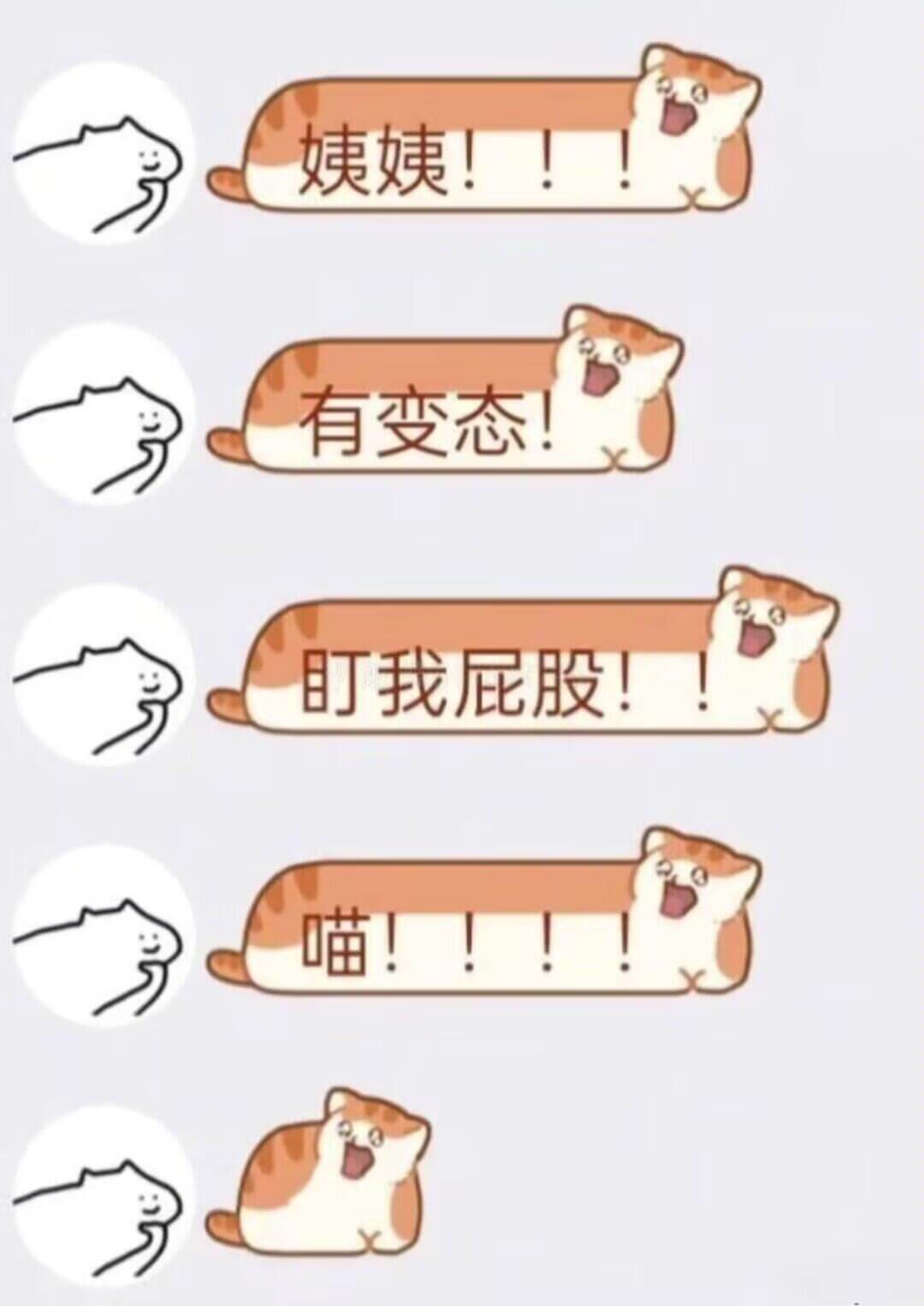 姨姨！有变态叮我屁股！喵！