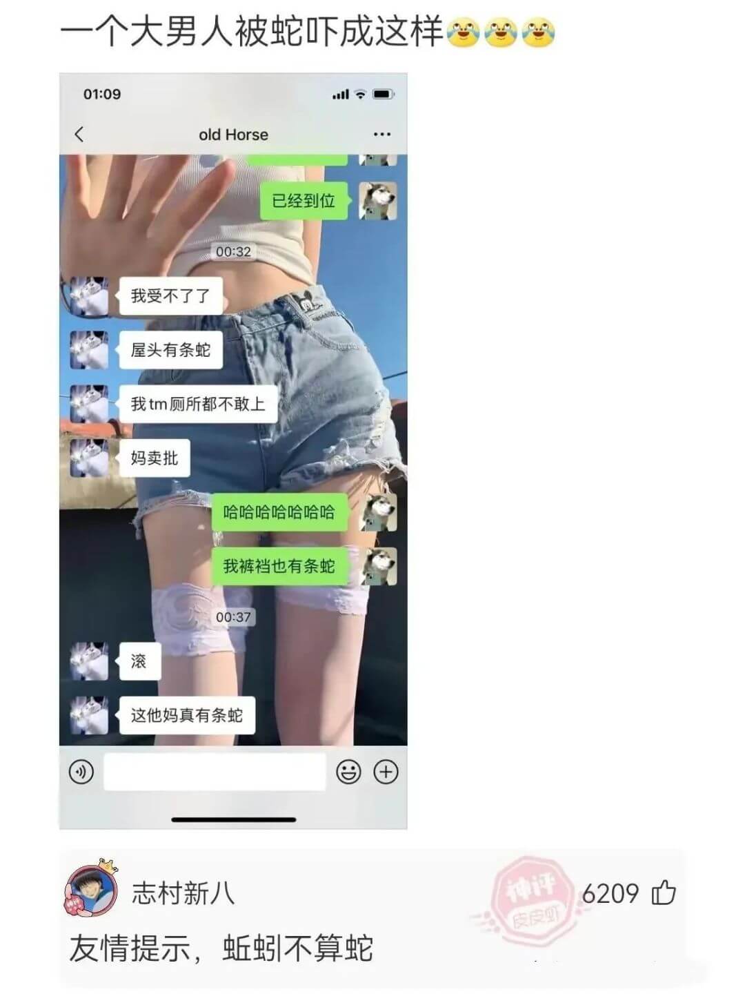 个大男人被蛇吓成这样01:09oldHorse已经到位00: