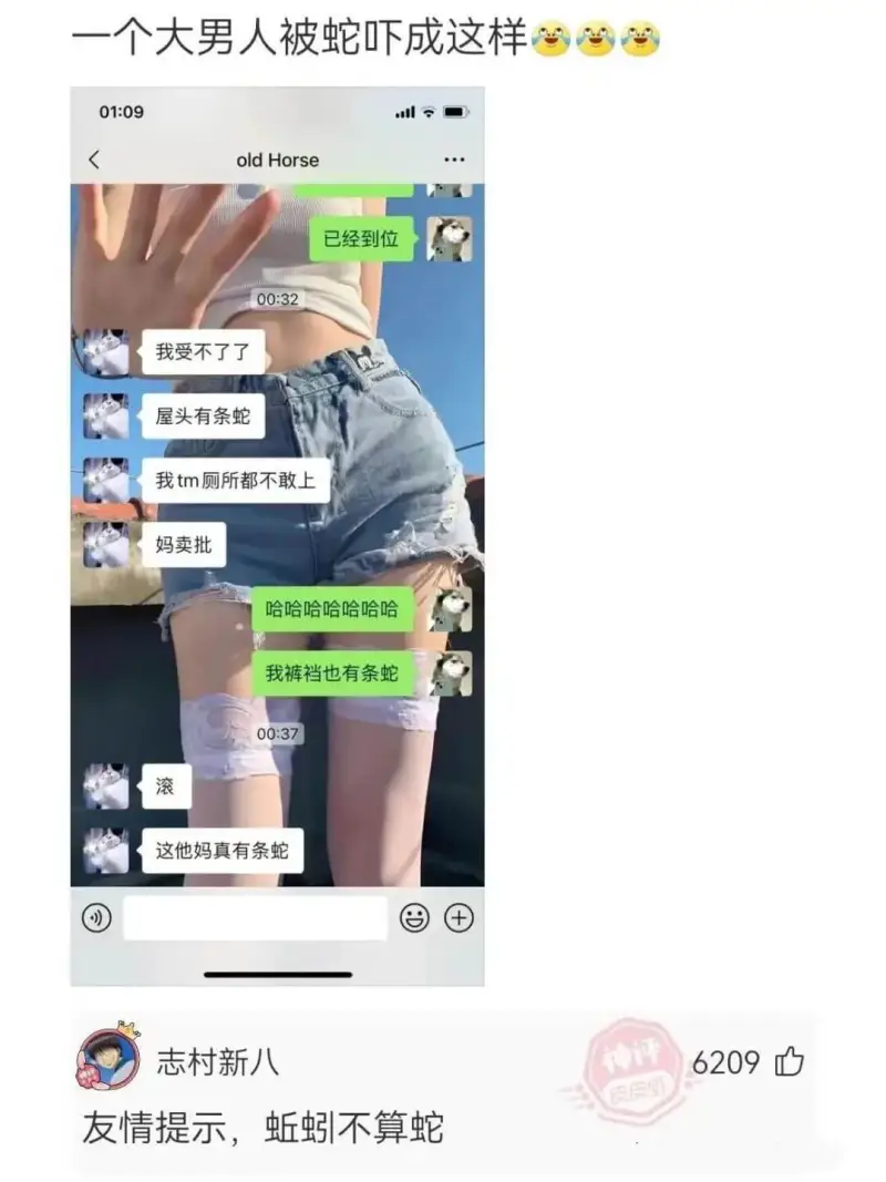 个大男人被蛇吓成这样01:09oldHorse已经到位00: