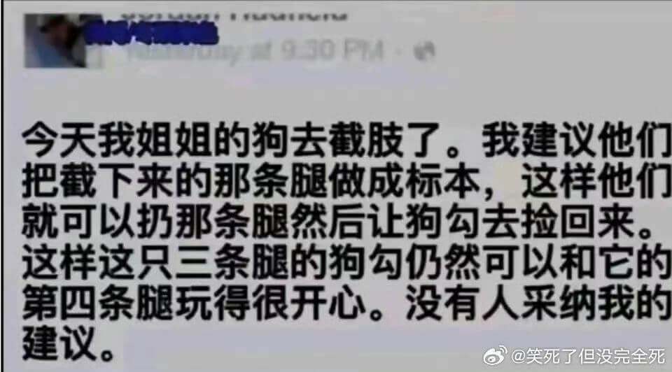 今天我姐姐的狗去截肢了。我建议他们把截下来的那条腿做成标本，