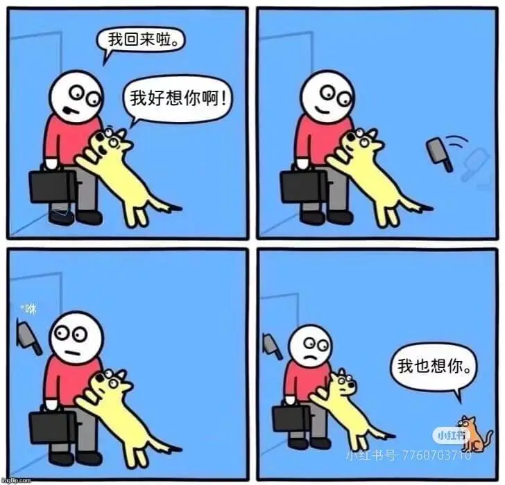 我回来啦我好想你啊!我也想你。小红书红书号:77607037