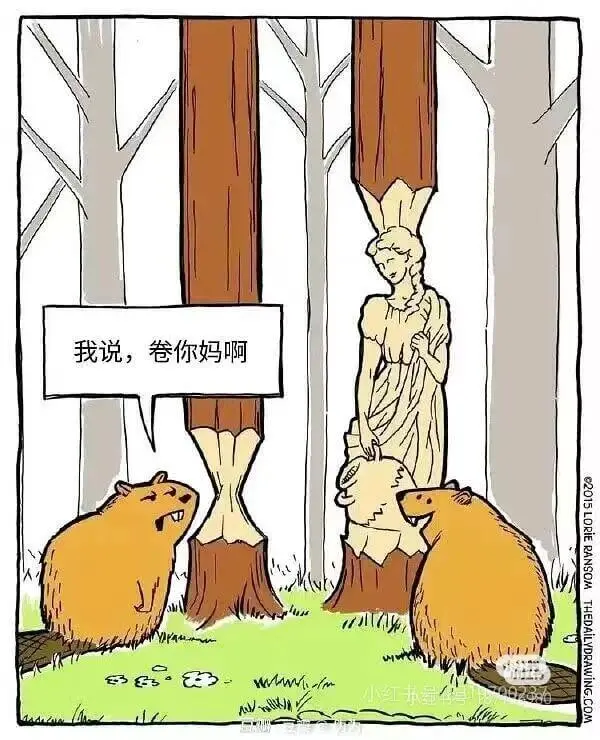我说，卷你妈啊。e2015LORIERANSOMTHEDAI