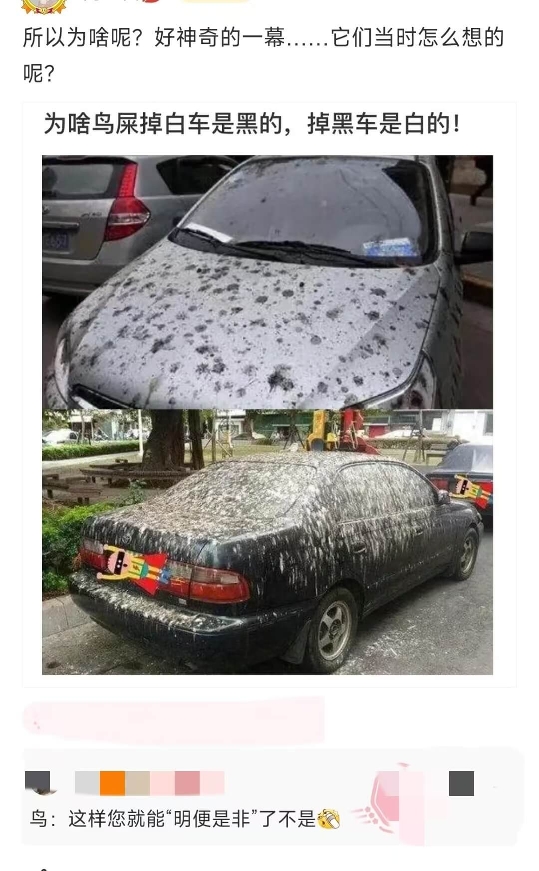 所以为啥呢？好神奇的一幕......它们当时怎么想的呢？为啥