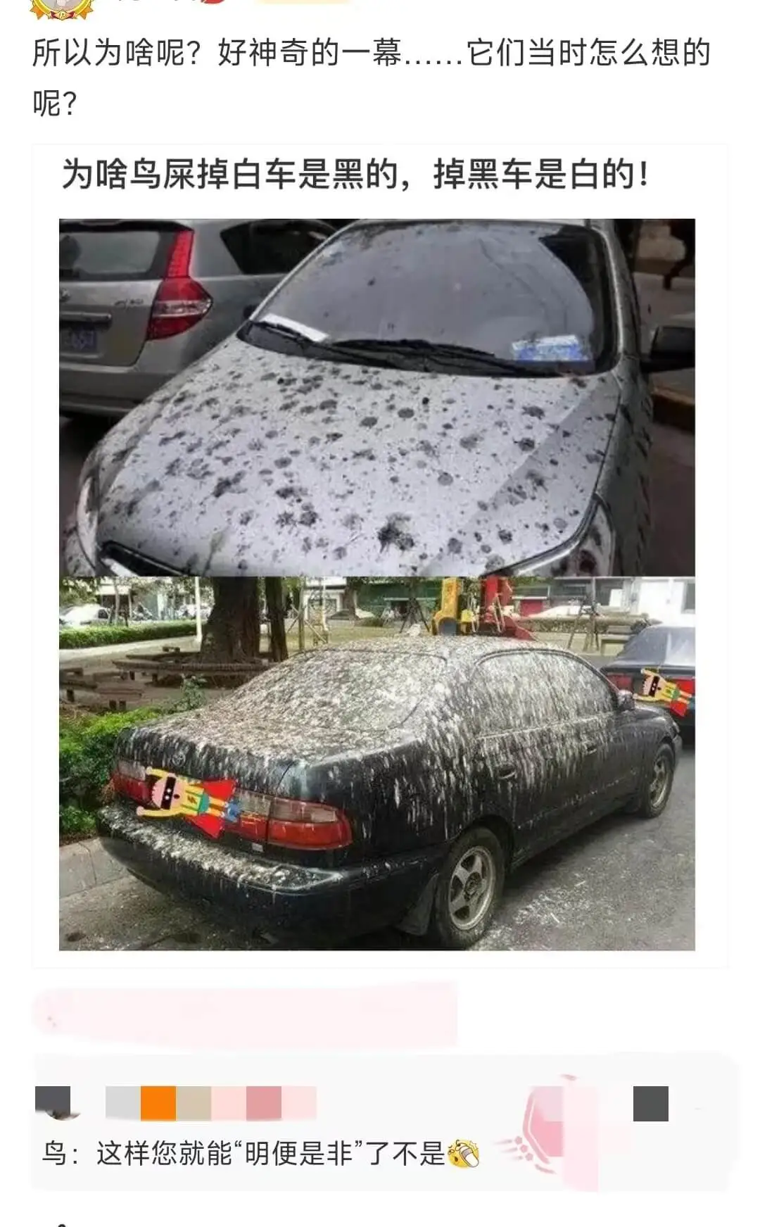 所以为啥呢？好神奇的一幕......它们当时怎么想的呢？为啥