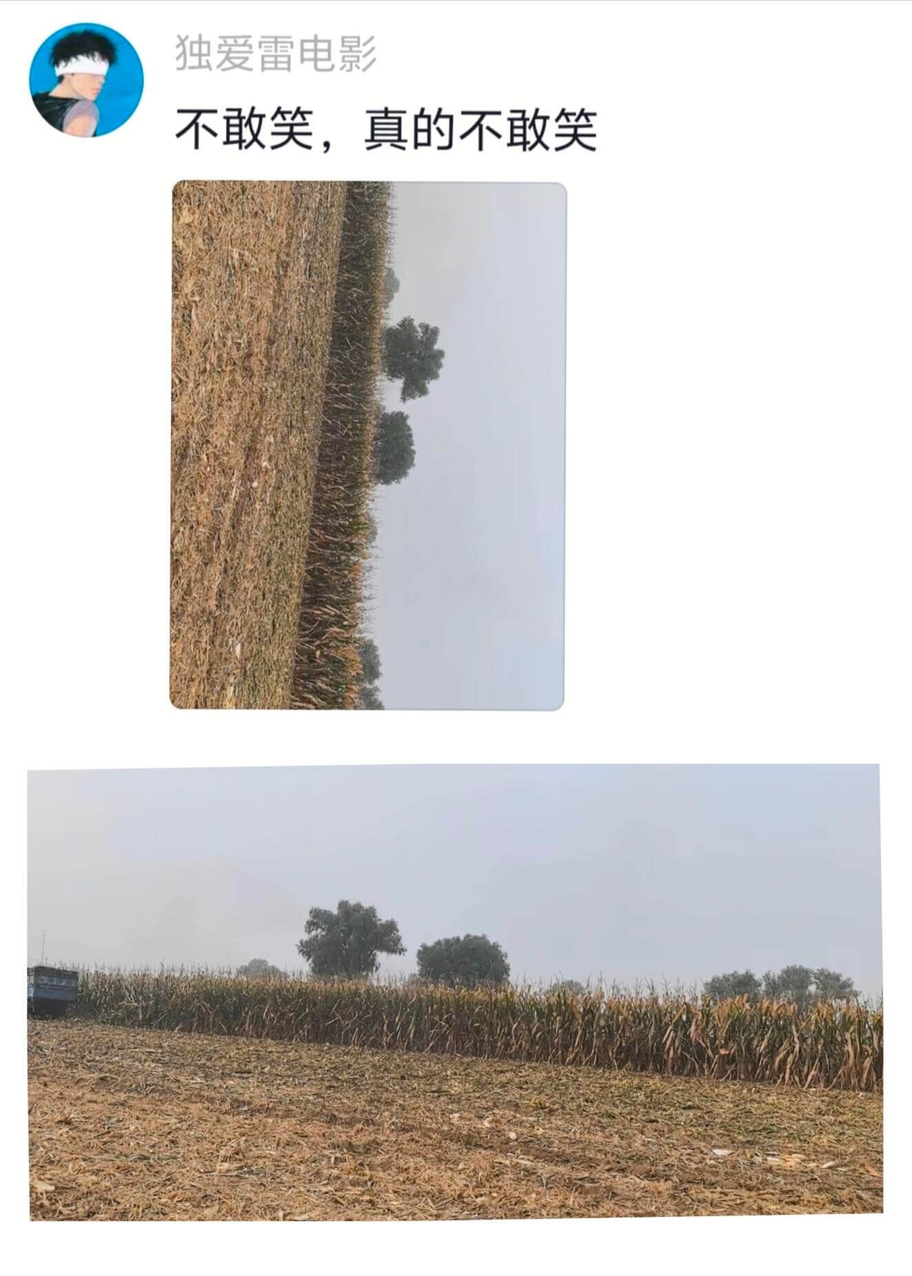 独爱雷电影不敢笑，真的不敢笑