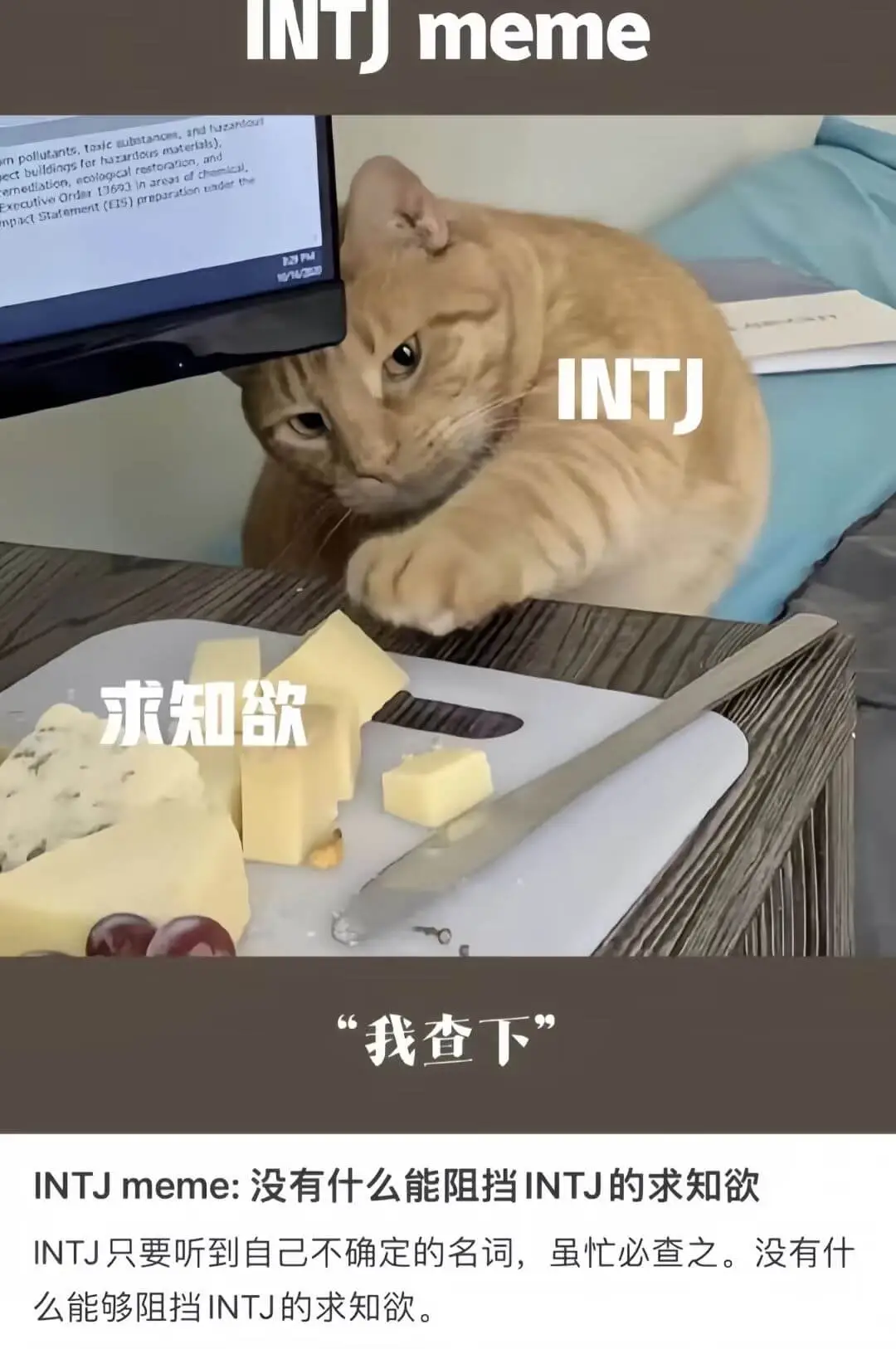 INTmemeectbuildingslerhoardosm