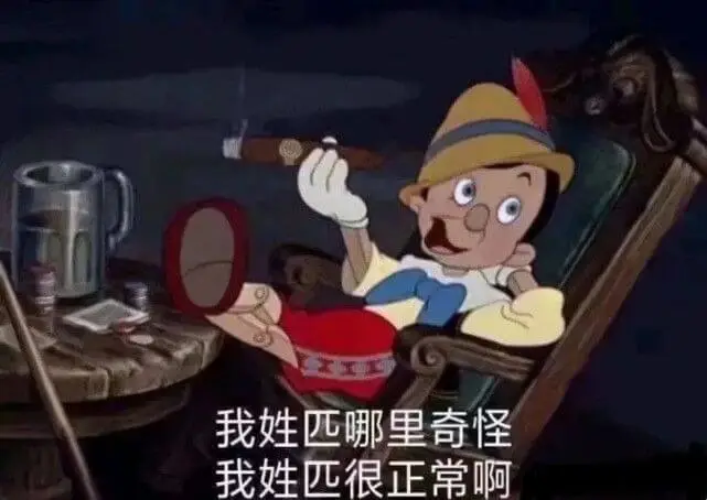 我姓匹哪里奇怪我姓匹很正常啊
