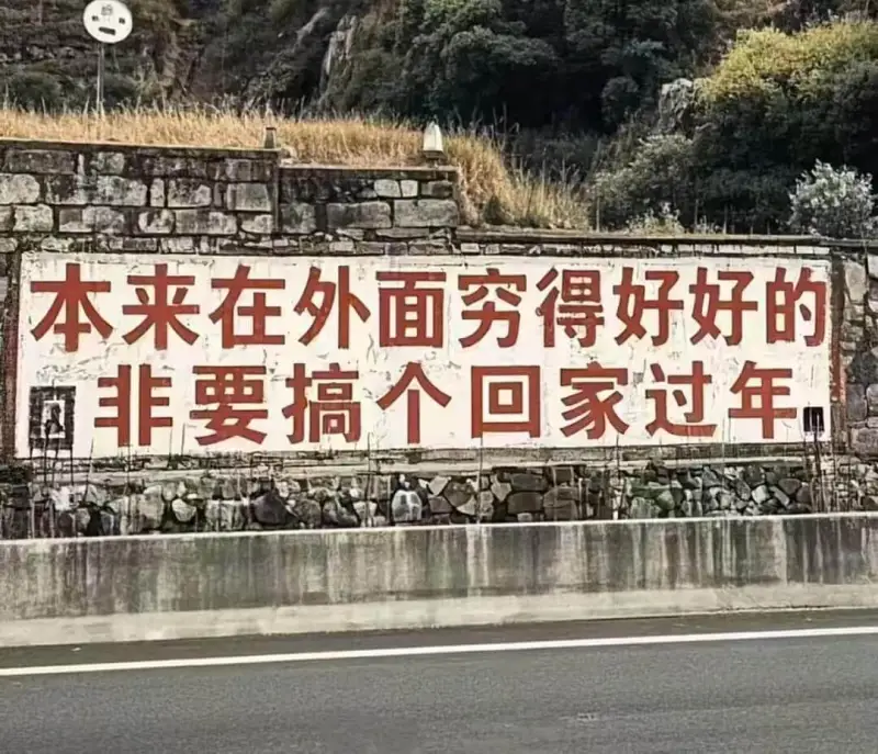 本来在外面穷得好好的非要搞个回家过年